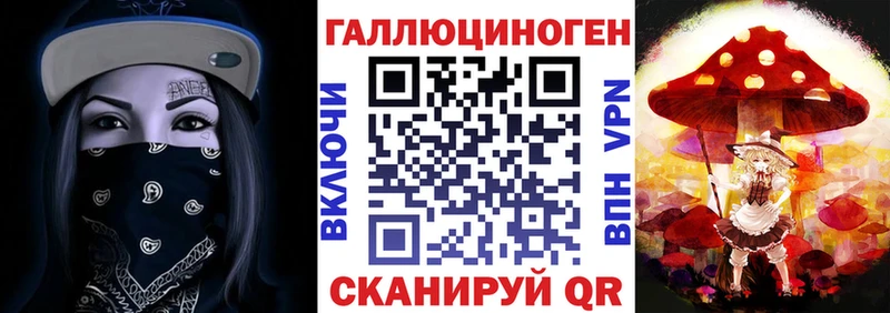 Купить закладки  Павловск  Галлюциногенные грибы Psilocybe 